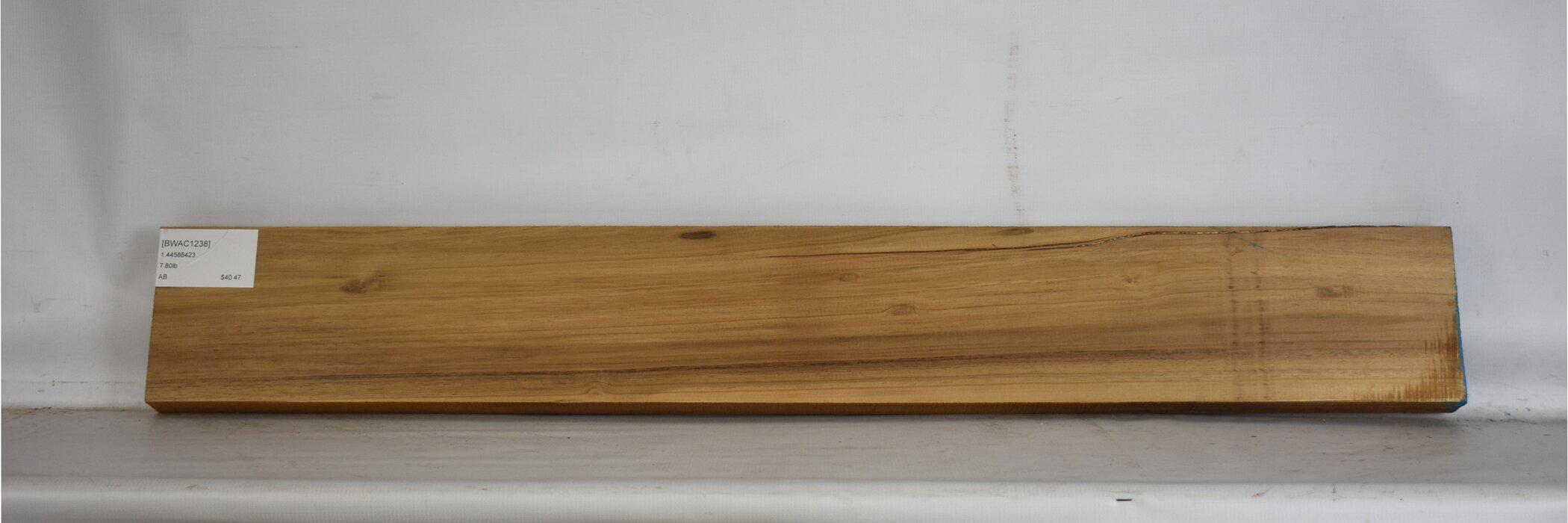 Blackwood - Acacia 2 BWAC1238_2