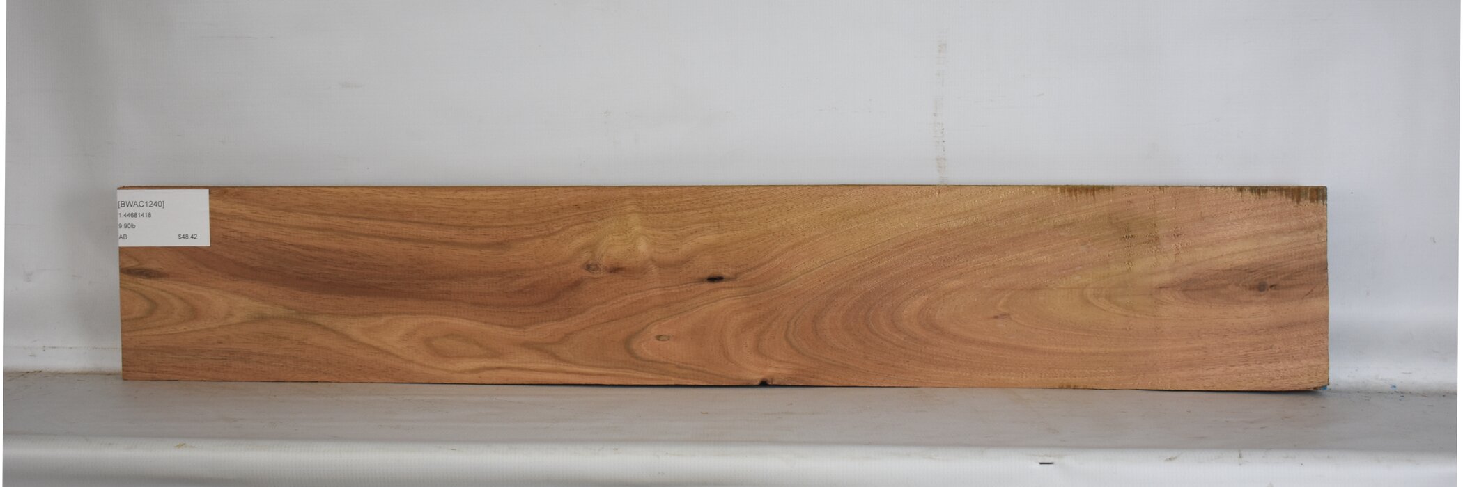 Blackwood - Acacia 2 BWAC1240_2