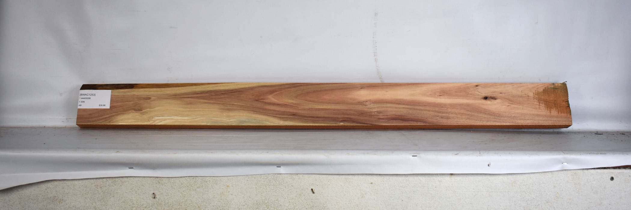 Blackwood - Acacia 2 BWAC1253_2