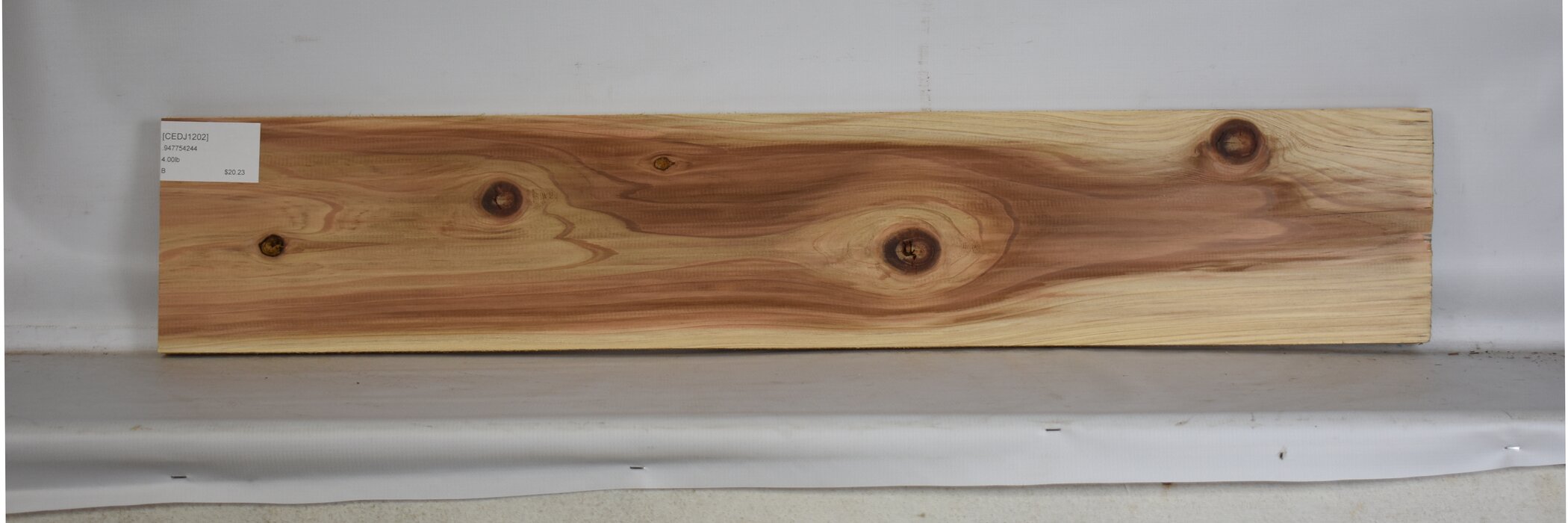 Cedar - Japanese 2 CEDJ1202_2