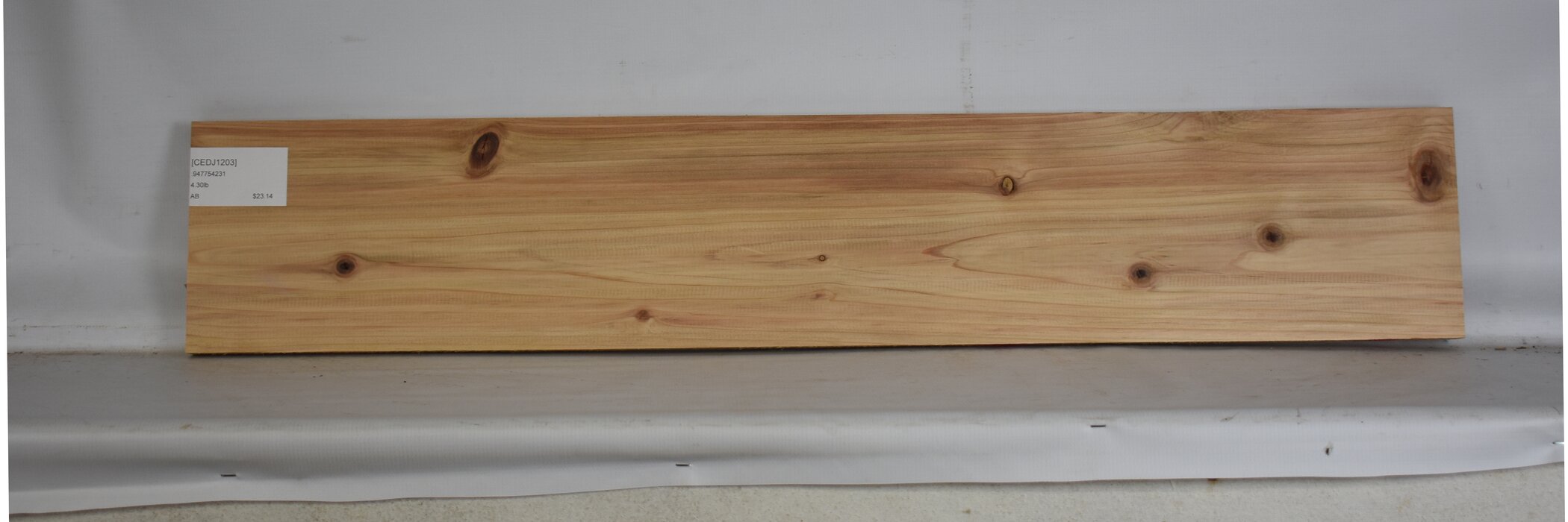 Cedar - Japanese 2 CEDJ1203_2