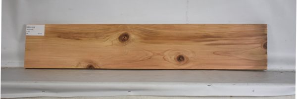 CEDJ1208_1