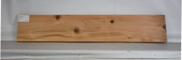 CEDJ1208_2