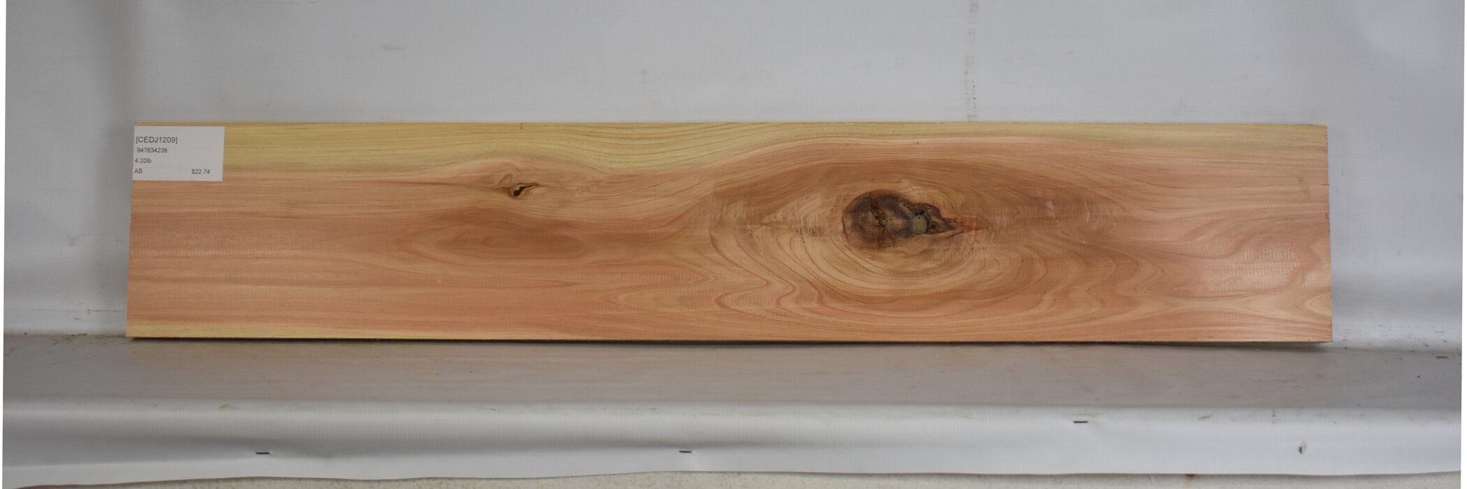 Cedar - Japanese 2 CEDJ1209_2