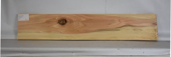CEDJ1214_2