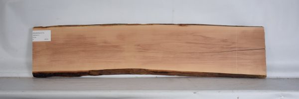 PEARSW1273_2