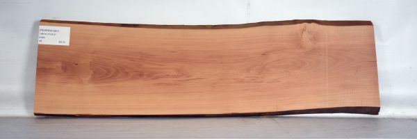 PEARSW1281_2