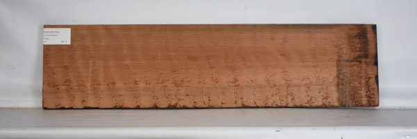 REDWC1083_1