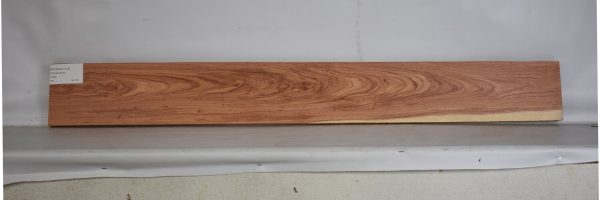 ROSEAF1312_1