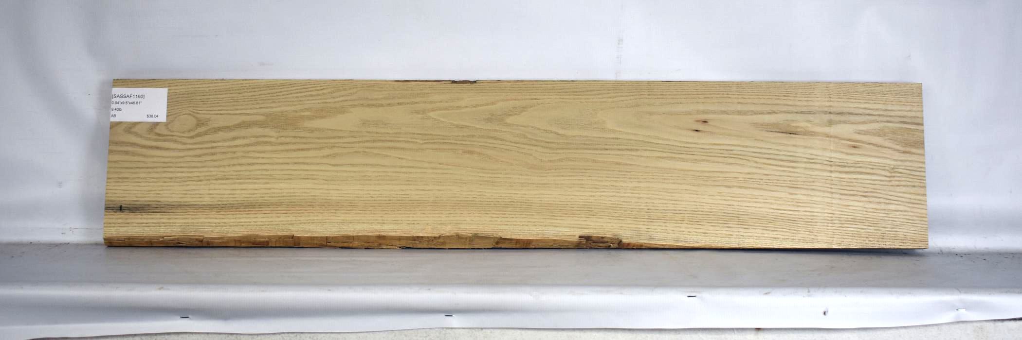 Sassafras 2 SASSAF1160_2