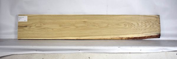 SASSAF1169_2