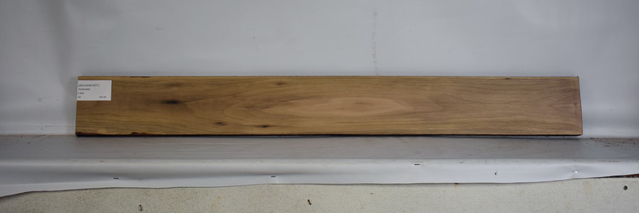 Walnut - American 2 WALNAM1637_2