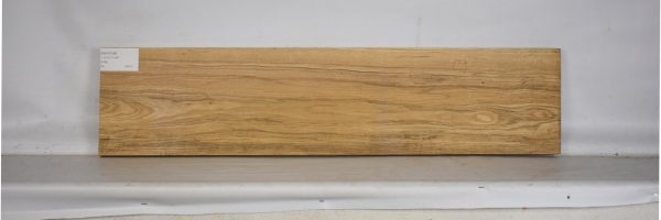 ASH1256_1