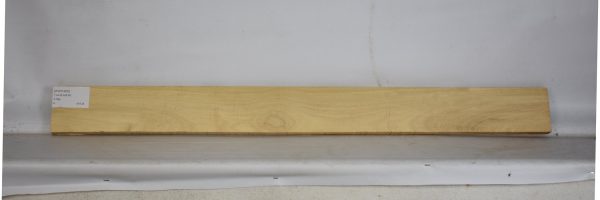 AVO1202_1