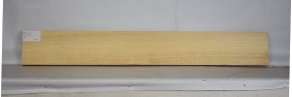 AVO1213_2