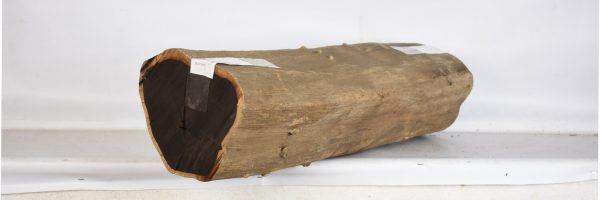 BLAF1261_2