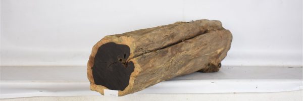 BLAF1263_1