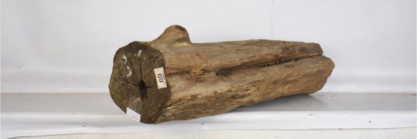 BLAF1263_2