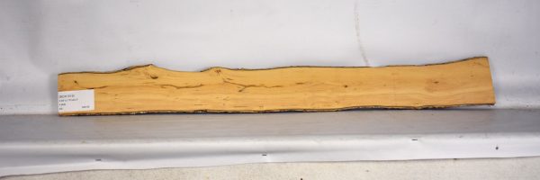 BOX1519_1
