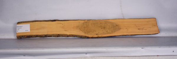BOX1521_2