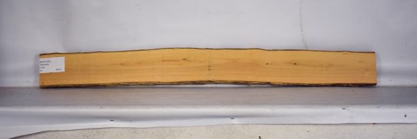 BOX1529_2
