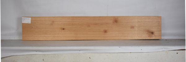 CEDARSPAN1194_1
