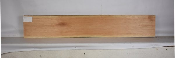CEDARSPAN1194_2