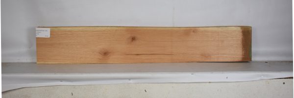 CEDARSPAN1195_1