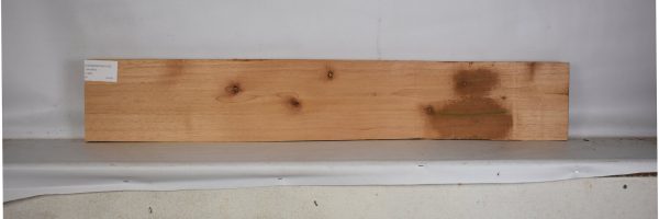 CEDARSPAN1195_2