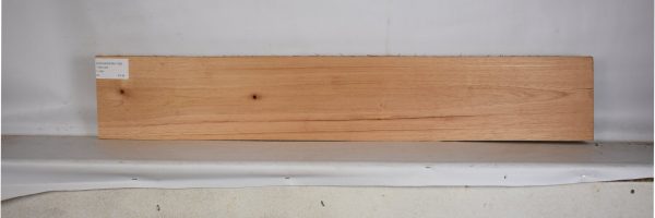 CEDARSPAN1196_2