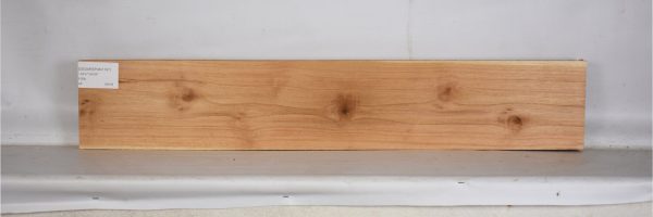 CEDARSPAN1197_2