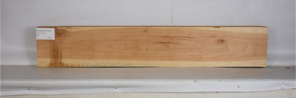 CEDARSPAN1199_1
