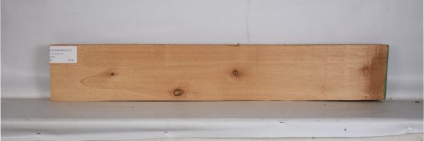CEDARSPAN1201_2