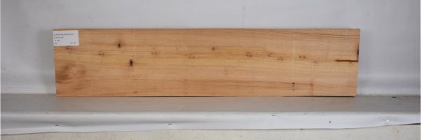 CEDARSPAN1203_1