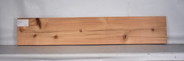 CEDJ1221_1
