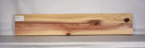 CEDJ1223_1