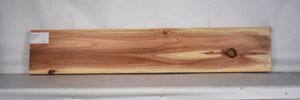 CEDJ1226_2