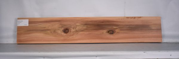 CEDJ1229_2