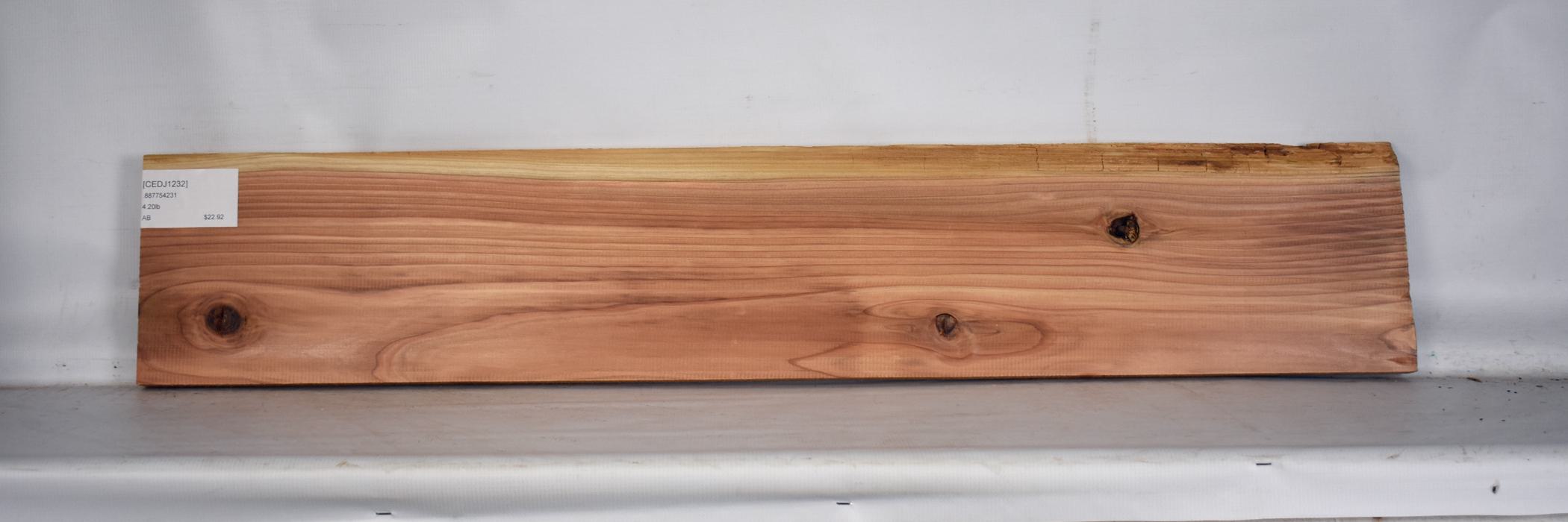 Cedar - Japanese 2 CEDJ1232_2