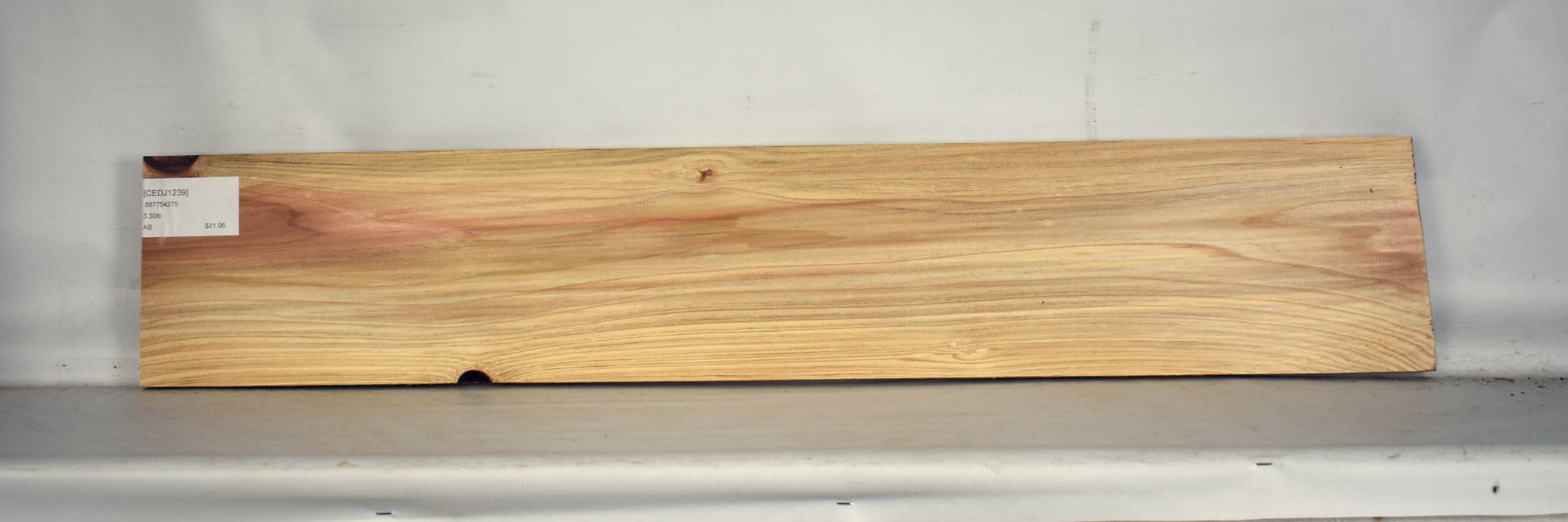 Cedar - Japanese 2 CEDJ1239_2