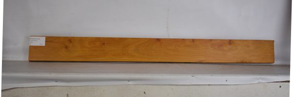 CHAKVIG1168_2