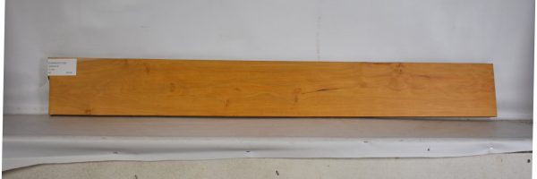 CHAKVIG1169_1