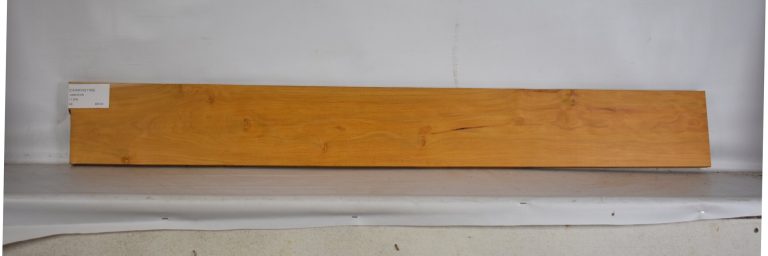 CHAKVIG1169_1