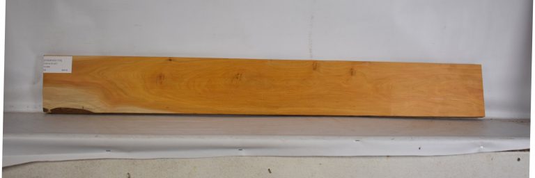 CHAKVIG1170_1