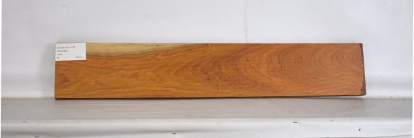 CHAKVIG1176_2