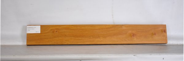CHAKVIG1177_2