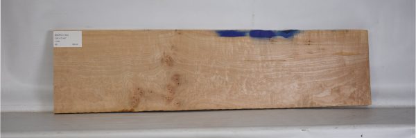 MAPQ1104_2