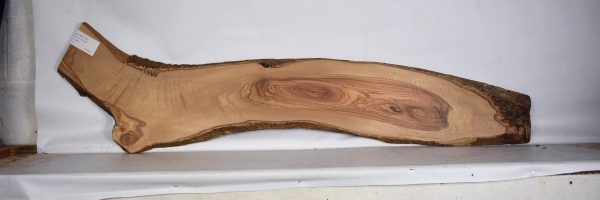 OLWIL1157_2