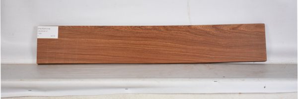 PAUFER1219_2