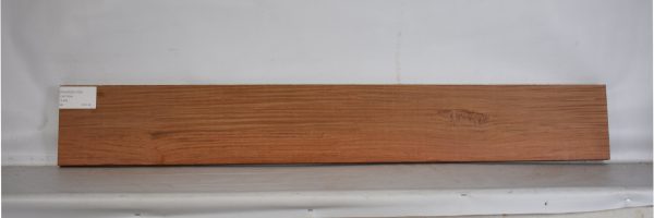 PAUROS1108_2